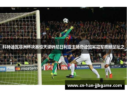 科特迪瓦非洲杯决赛惊天逆转尼日利亚主场奇迹加冕冠军震撼足坛之